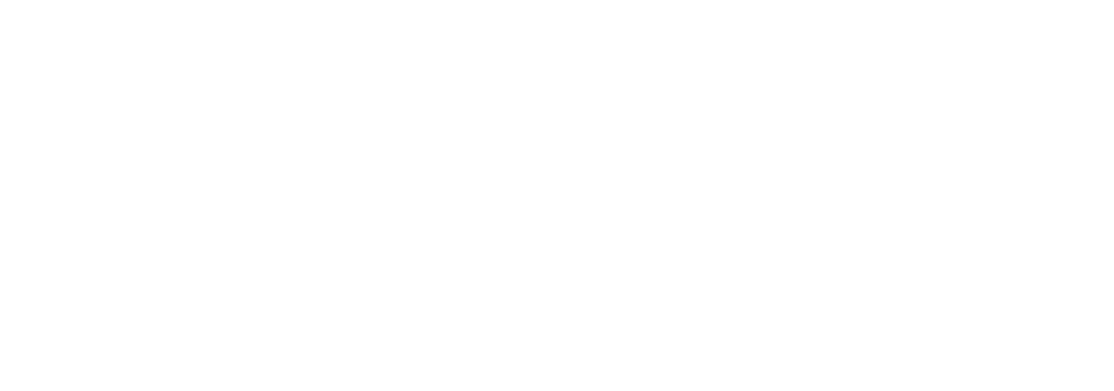 Ehrlich Brothers Logo